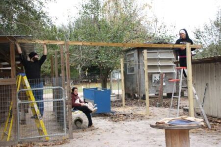 Building a Goat Shelter and Bedding Image